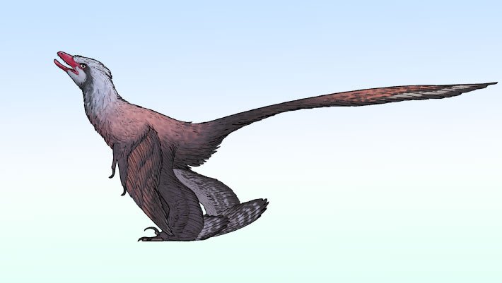 Novo dinossauro emplumado da China tinha cauda de pavão