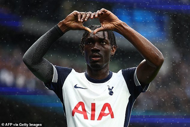 Ex-estrela do Tottenham espera impressionar Fulham e Bournemouth perto do talento do Benfica: WINDOW WATCH