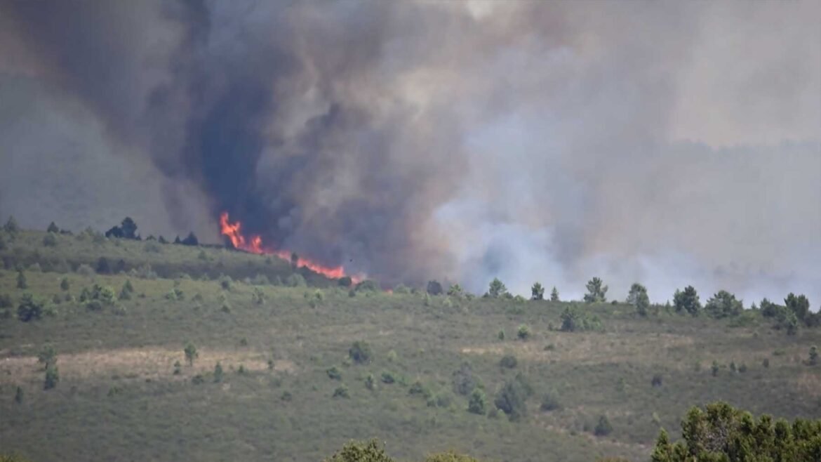 Dez cidades foram evacuadas devido ao incêndio de La Mierla em Guadalajara