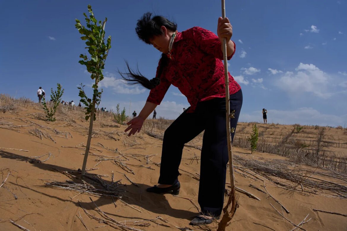 A ‘Grande Muralha Verde’ da China controla o crescimento do deserto, mas os cientistas alertam que a batalha ainda não acabou