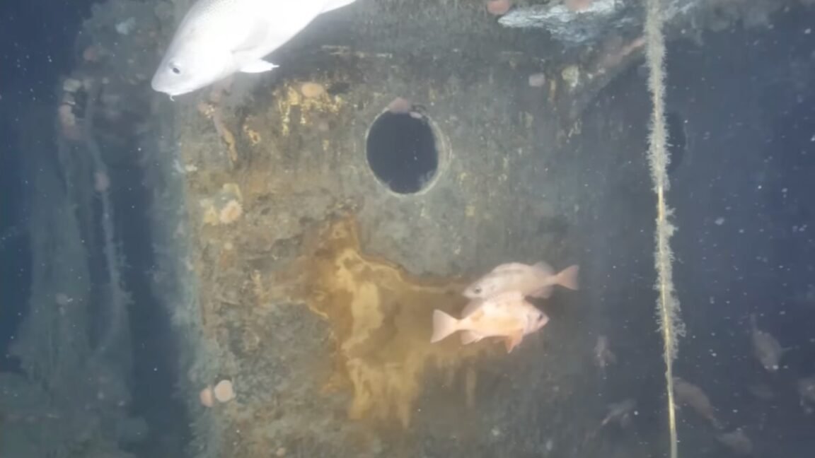 Confira as primeiras imagens do naufrágio do Quest