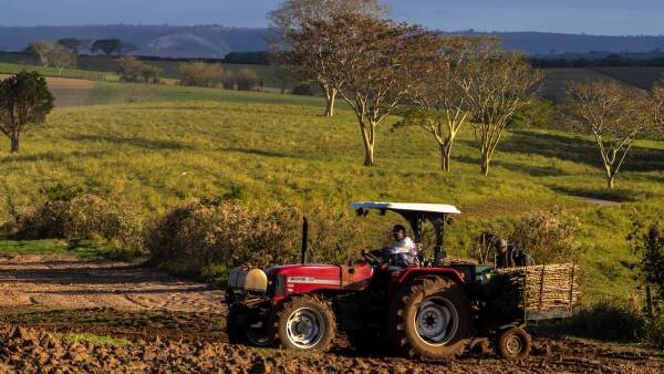 Os EUA impõem tarifa de 25% às importações brasileiras após investigação | Fazenda Semanal